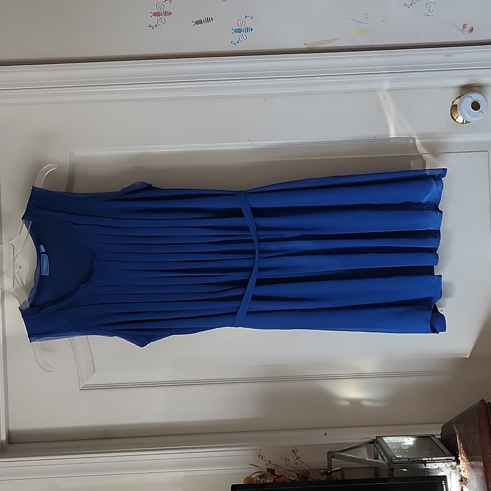 Simply Vera Vera Wang royal blue dress.